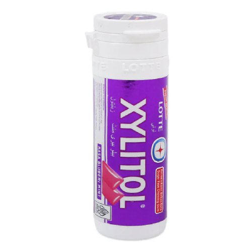 XYLITOL RASA BLUBERI MINT